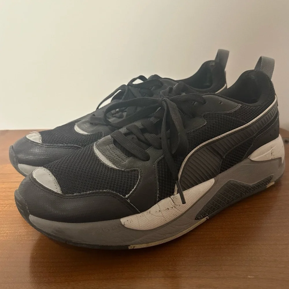 Puma pumax ray